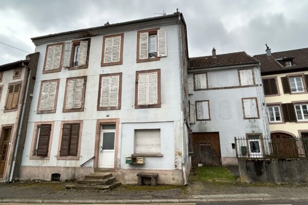 2 immeubles / 5 appartements - 435m² - SAALES