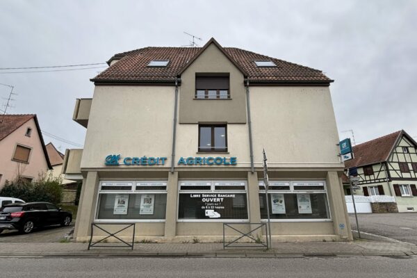 142 m² Local commercial en monopropriété sur deux étages - VENDENHEIM